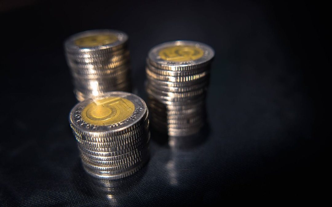 10 pomysłów na co można zbierać pięciozłotówki