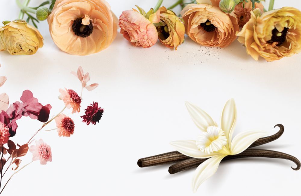 Jak stworzyć kompozycje z suszonych kwiatów? Zbiór kreatywnych pomysłów