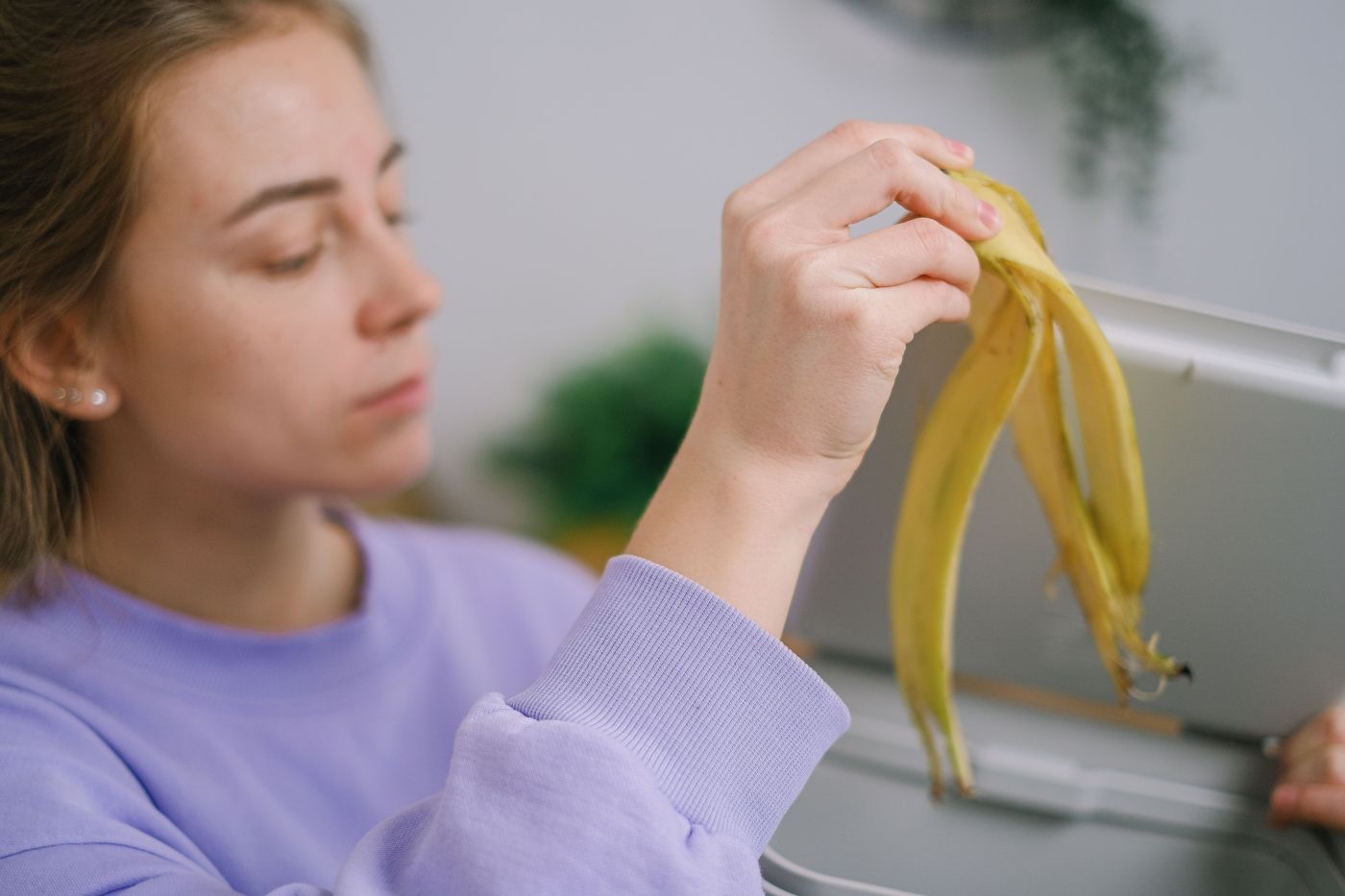 skórka banana